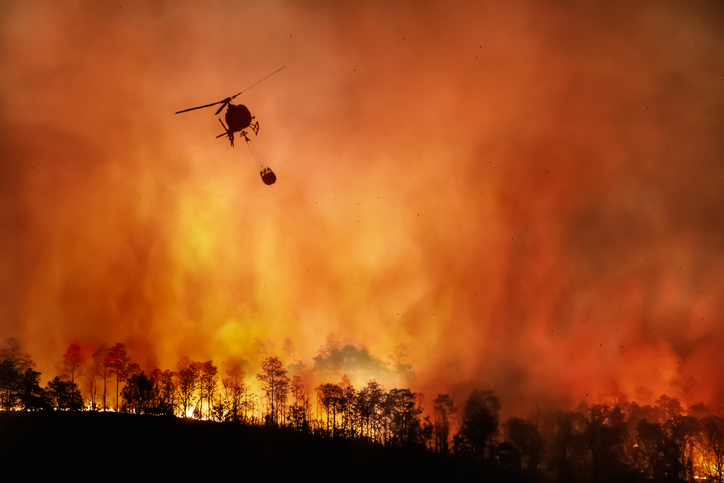 El Gobierno adopta medidas extraordinarias en materia de Seguridad Social para trabajadores y empresas afectadas por los incendios forestales