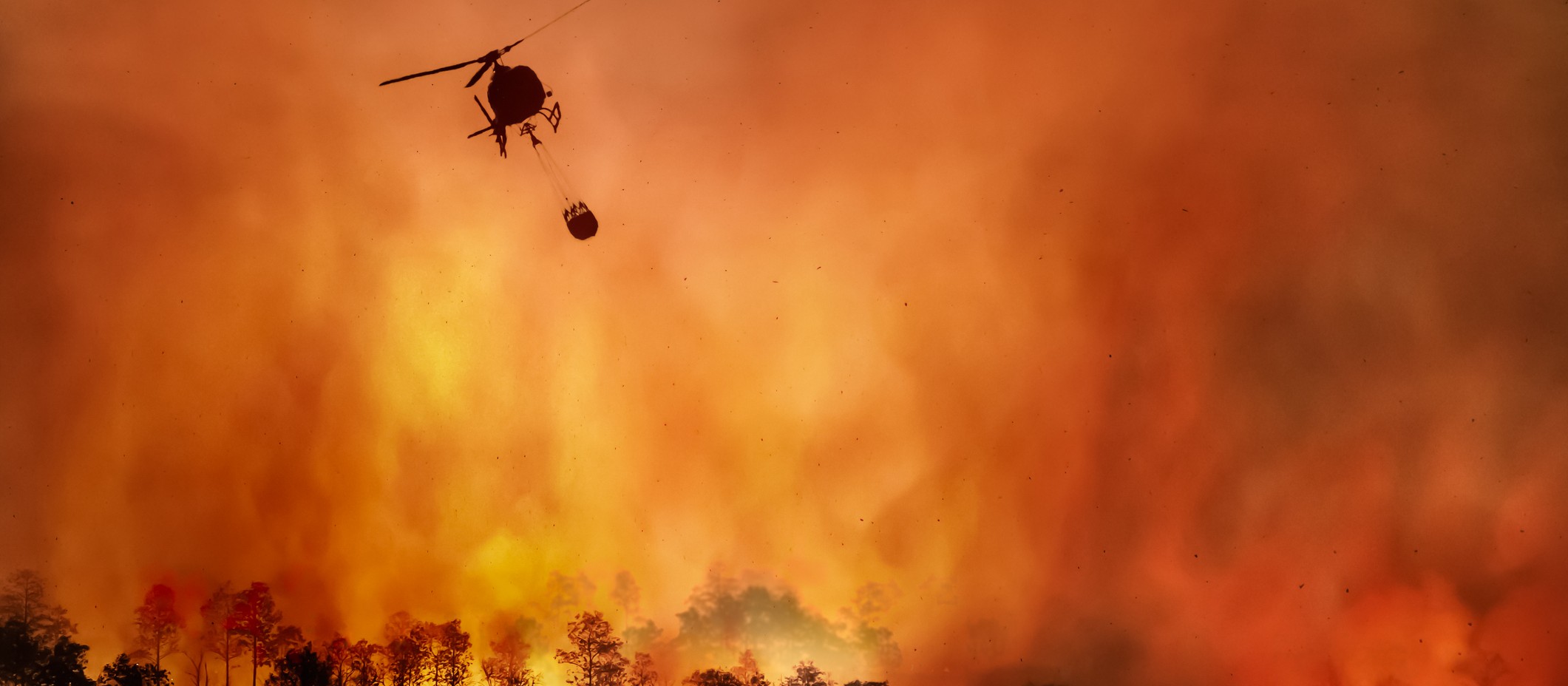 Imagen de Carrusel afectados incendios