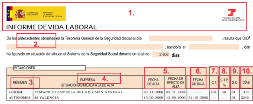 Ejemplo de Informe de Vida Laboral con sus diferentes epígrafes seleccionados