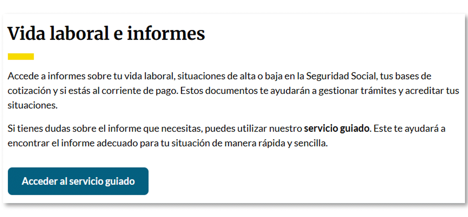 Servicio guiado Importass