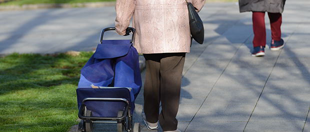 La nómina de pensiones contributivas se sitúa en 9.877,77 millones de euros