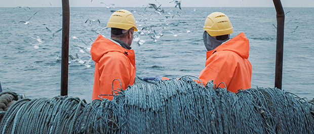 El Instituto Social de la Marina (ISM) ha adoptado una serie de medidas orientadas a minimizar las dificultades para operar de los trabajadores del mar y empresas del sector marítimo pesquero por la pérdida de...