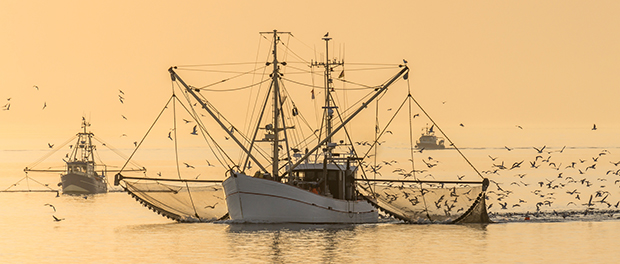 El Gobierno ayudará con tres millones de euros a los pescadores con contratos afectados por el estado de alarma