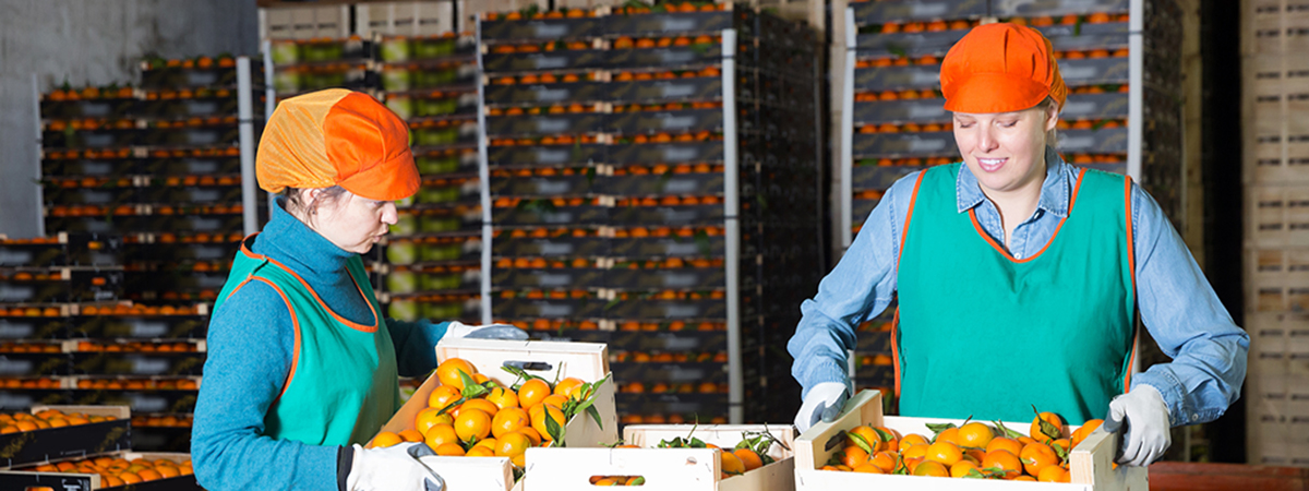 Trabajadoras en empresa alimentaria