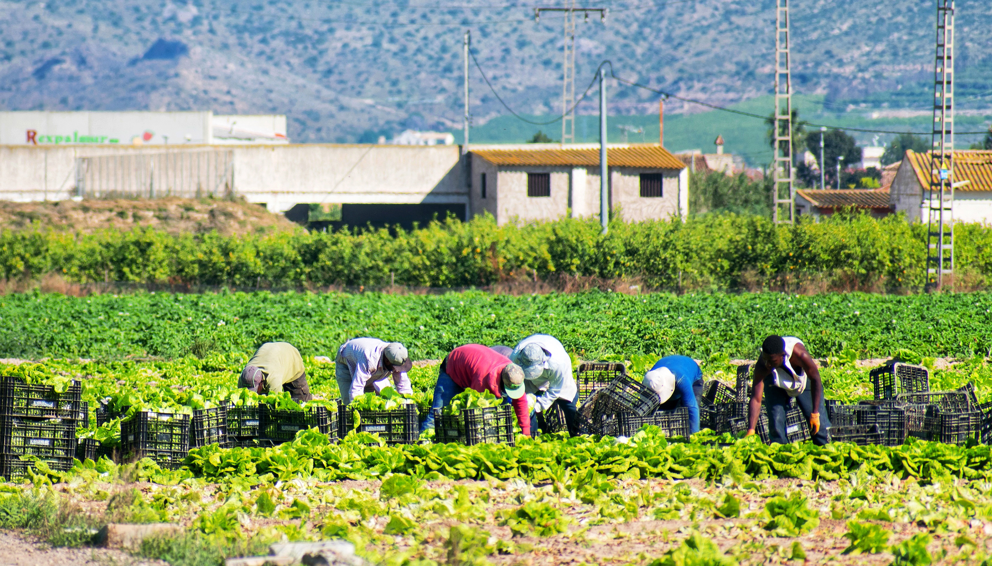 Personas extranjeras trabajando de cocineros en un restaurante español