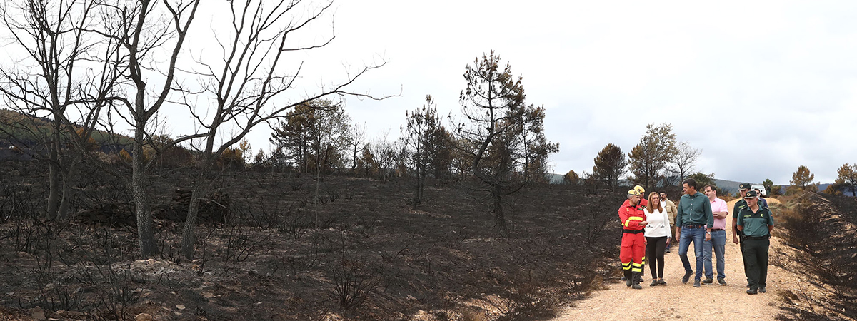 Pedro Sánchez visitó la zona afectada por el fuego en la provincia de Zamora