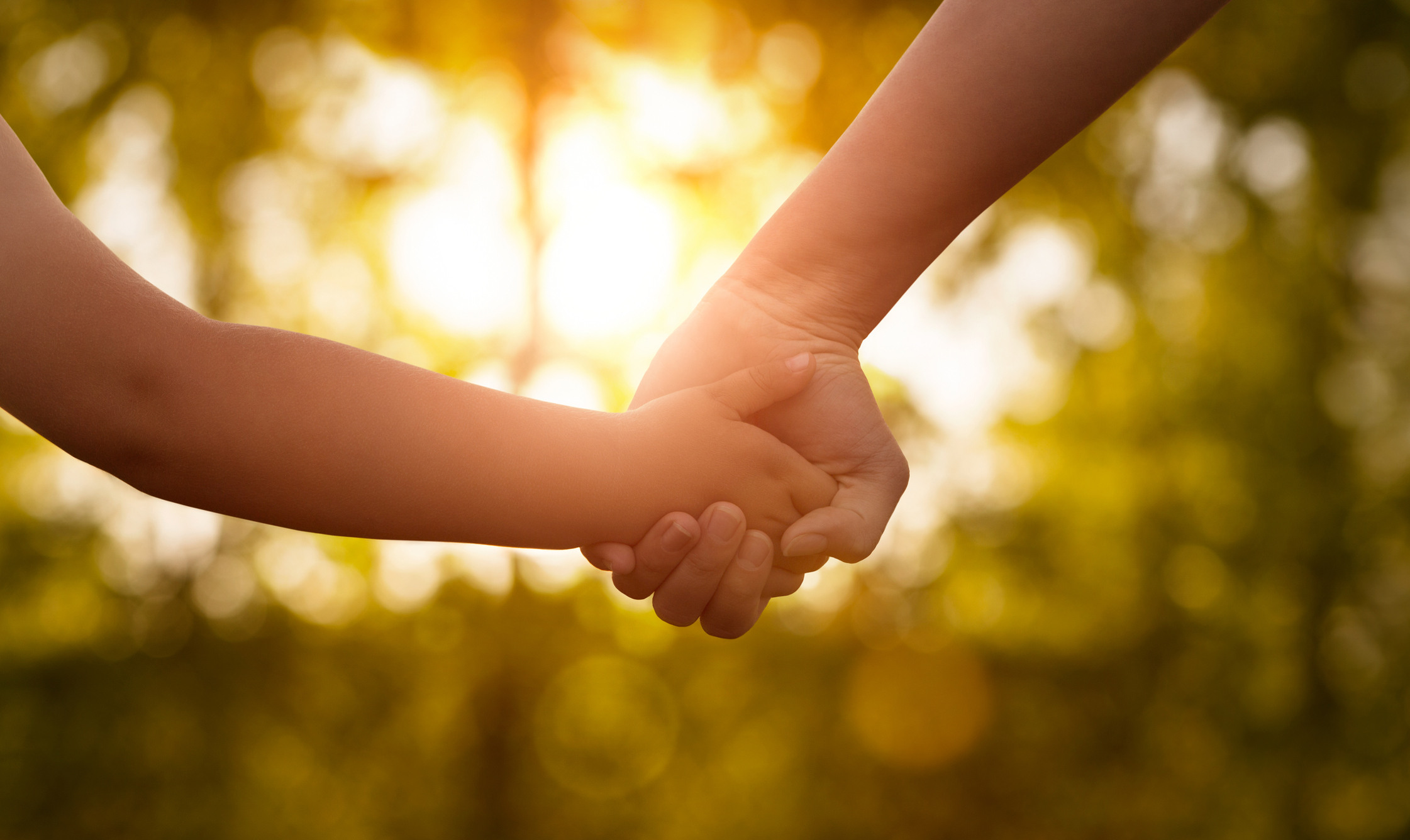 Mano de niño entrelazada con mano de adulto