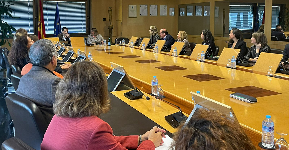 Borja Suárez durante el encuentro con el comité directivo del INSS