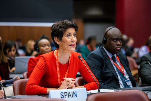 Elma Saiz, durante la celebración del Consejo de la Organización Internacional de las Migraciones de la ONU