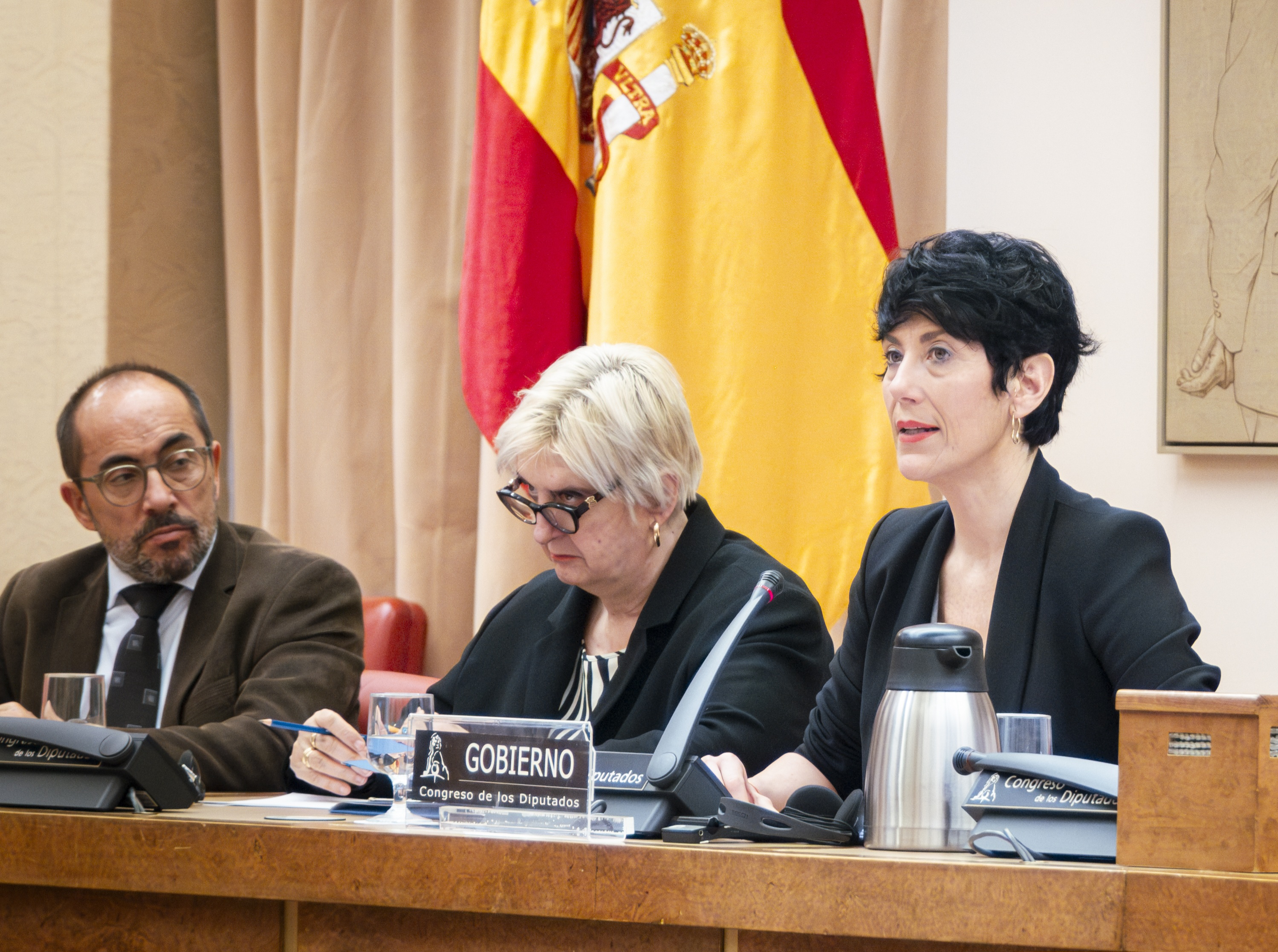 Elma Saiz durante su comparecencia en la Comisión de Trabajo, Economía Social, Inclusión, Seguridad Social y Migraciones del Congreso de los Diputados