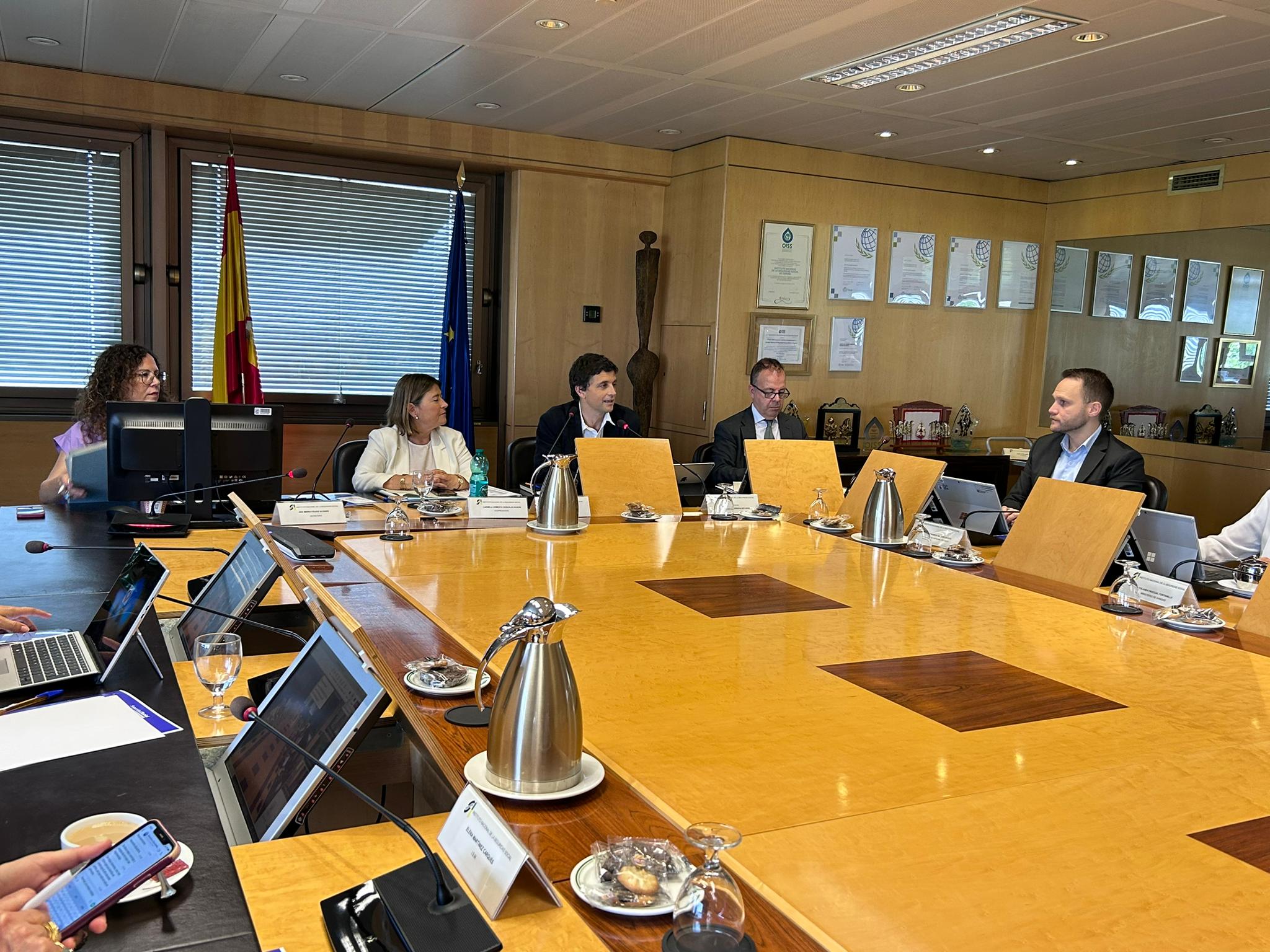 Borja Suárez presidiendo la reunión del Consejo General del INSS