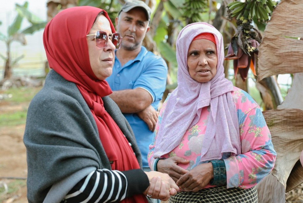 Proyecto de migración circular Wafira